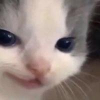 Avatar of Chiara Menegatti