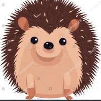 Hedgehogtheking's avatar