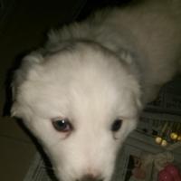 Avatar of Michael Henderson