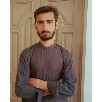 Avatar of Majid Naveed