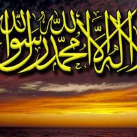 Avatar of Engineer, Tarek Herik (R).