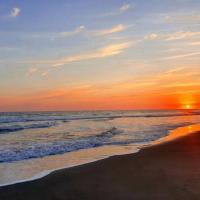 Avatar of hermansory