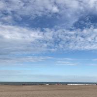 Avatar of Hernan🎖 Garcia