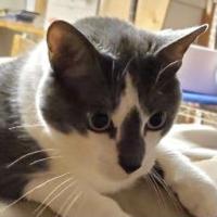 Erik Tkachenko's avatar