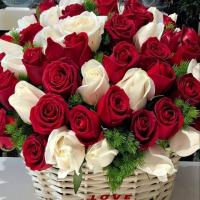 Avatar of يوسف محمد خير صديق