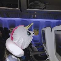 Hien Nguyen's avatar