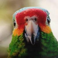 Avatar of Hill García