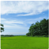 Avatar of Hipolitossos