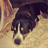 Avatar of Sascha Grimm