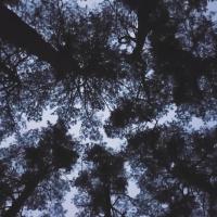 Avatar of houssemov1