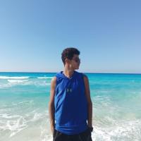 Avatar of Hussein Mahmoud