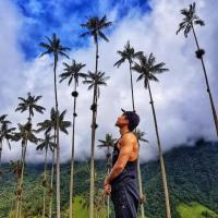 Avatar of Hysonberg69