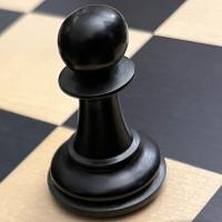 Avatar of Slow Horse