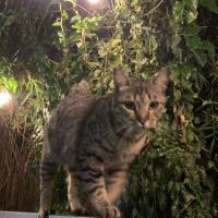 Avatar of Iannnnnnn16