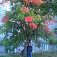 Анна Новикова's avatar