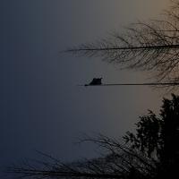 Avatar of 낌표 느