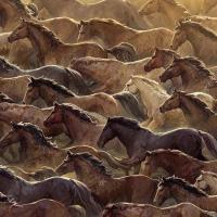 Avatar of Ильнар