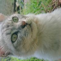 Avatar of Tian Rizki