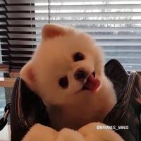 Avatar of ImbaSpirit