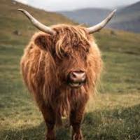 Matthew Turner's avatar