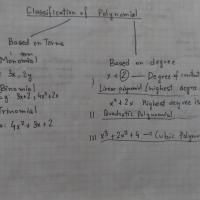 Avatar of rookie luck