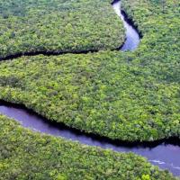 Avatar of indian_scammmer