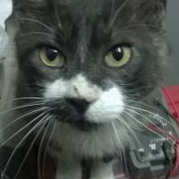 Miguel Luis Martínez Olivera's avatar