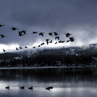 Avatar of InvictusOKC