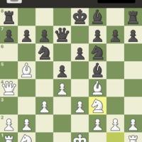 Avatar of Irisalinhalcon72