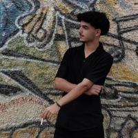 Avatar of hamed hamed