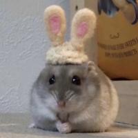 Avatar of itsalejito