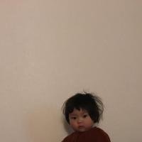 Niki Nadernia's avatar