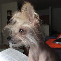 Avatar of Ivette1212