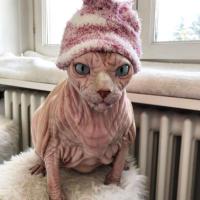 Avatar of izzabella10