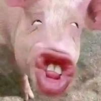 Avatar of Welbert PC