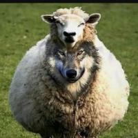 Avatar of Jalin_Rabey