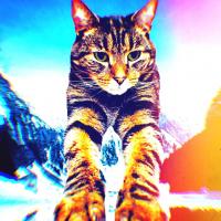 Avatar of James Cornell