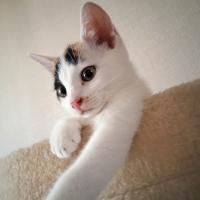 Avatar of janemargolis