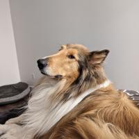 Avatar of Jared Neal