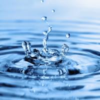 Avatar of Jarl Carlander