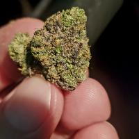 Avatar of Jared Newman