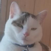 Avatar of Jeff Alexander