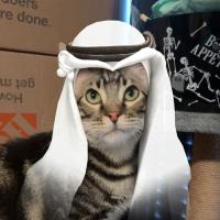 Avatar of JehtBlack03