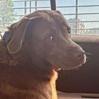 Avatar of jeroen rdm