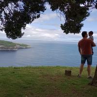 Avatar of Jorge Frade