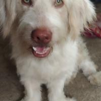 Avatar of Jun'z Biñan