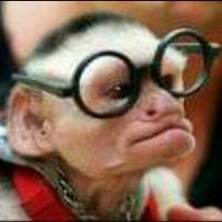 Avatar of jimmer zapatos