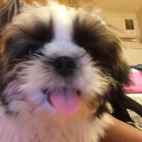 Avatar of Ni&ntilde;o Jim&eacute;nez