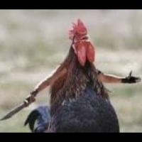 Avatar of jjbosco2025