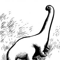 Joshua Sheng's avatar